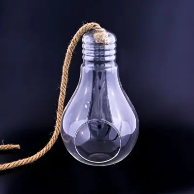 Bulb Shaped Hanging Glass Vase