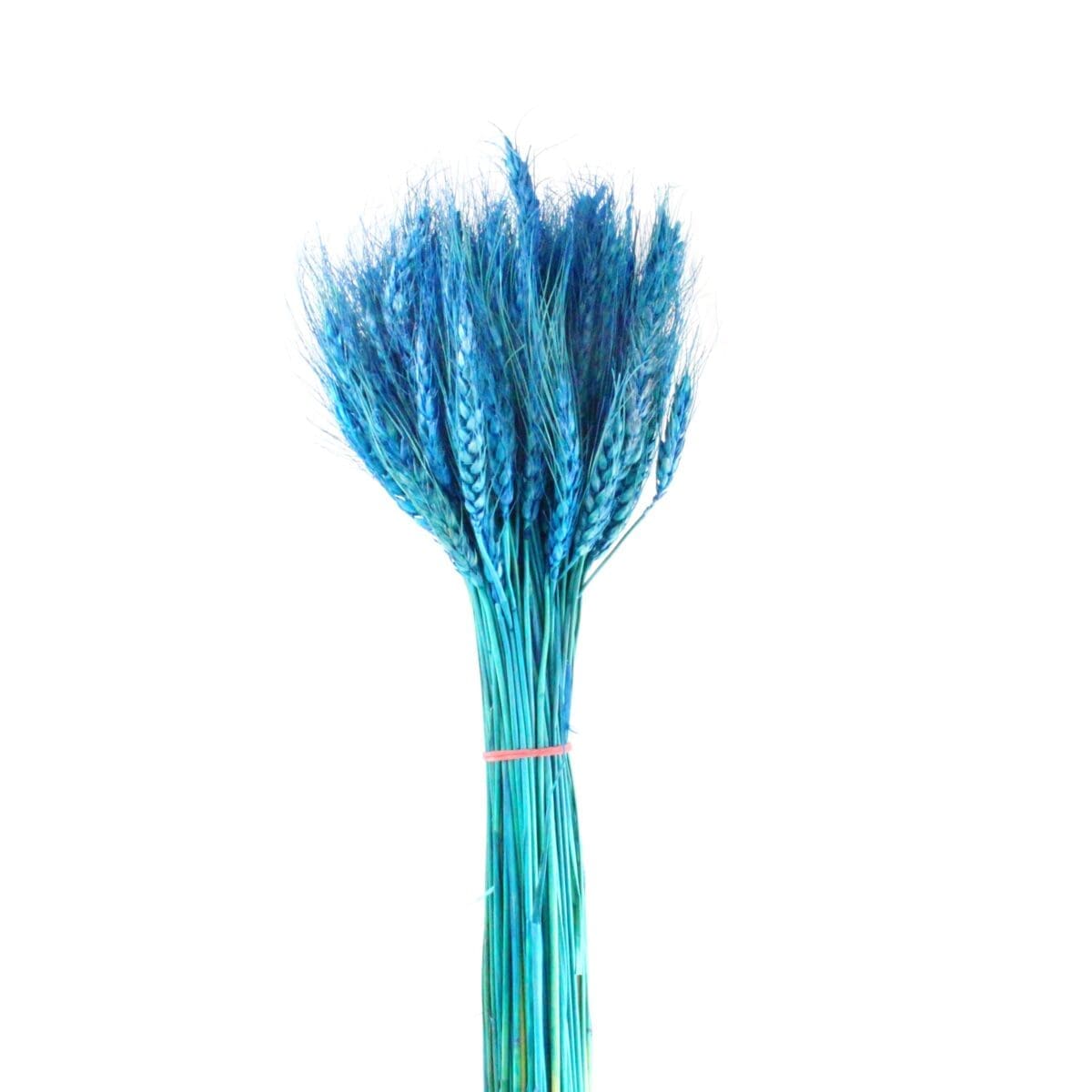 Natural Dried Flower Dry Grass Blue