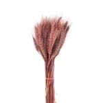 Natural Dried Flower Dry Grass Purple