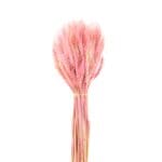 Natural Dried Flower Dry Grass Pink