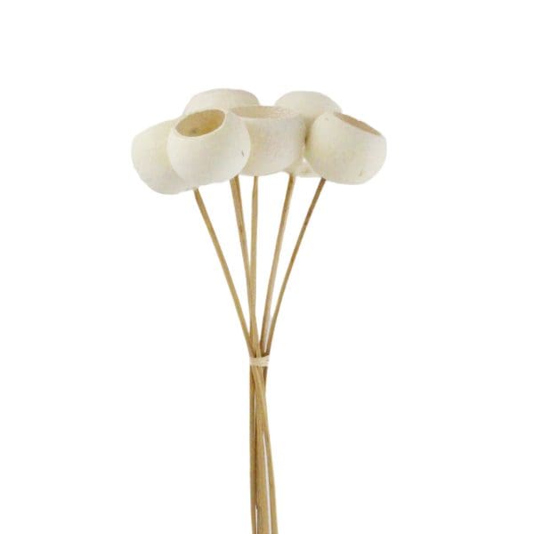 Bell Cups with Stick