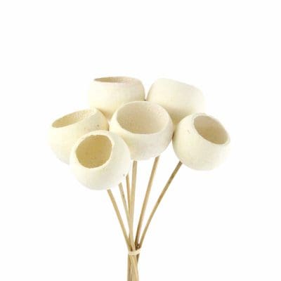 Bell Cups with Stick