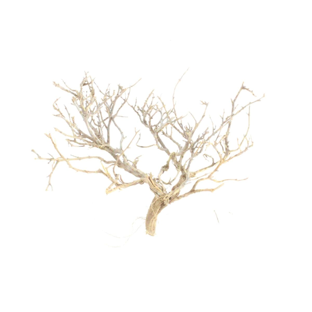 Natural Dried Twigs Branch Root