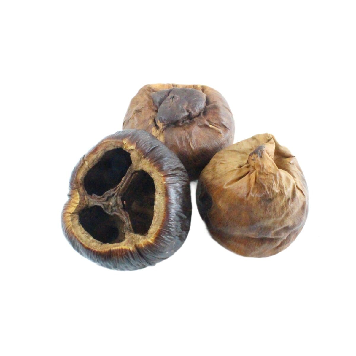 dried talami pods