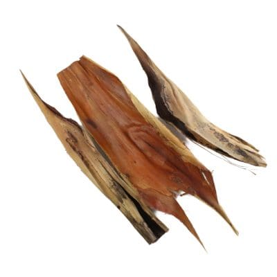 dried leaves