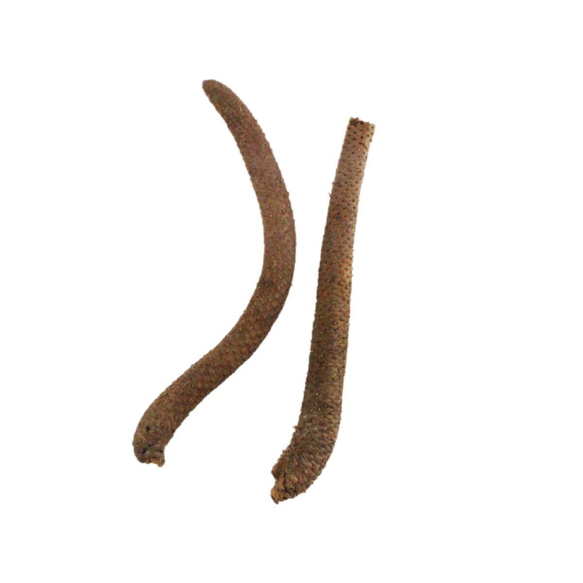 natural dried palm stick pod