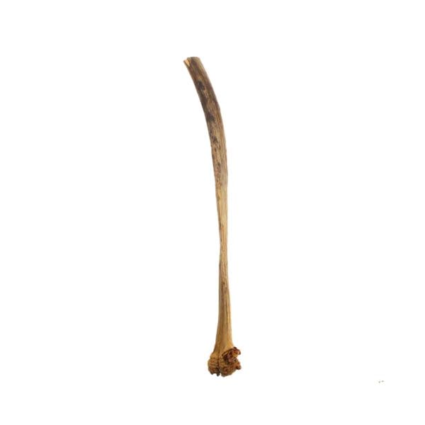 natural dried tree bark