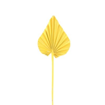 Yellow Natural Dried Palm Leaf Decor Wedding