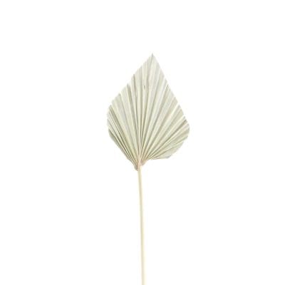 Natural Dried Palm Leaf Decor Wedding