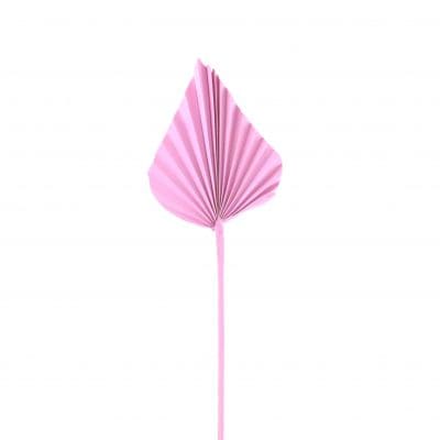 Natural Dried Palm Leaf Decor Wedding