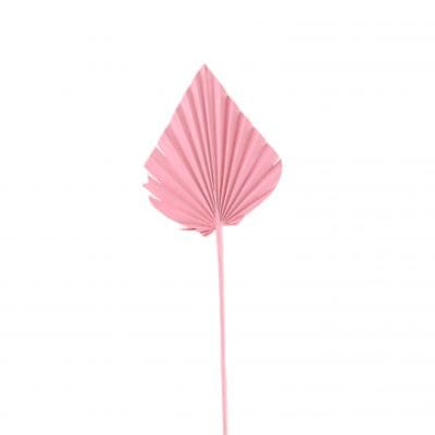 Natural Dried Palm Leaf Decor Wedding