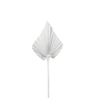 Natural Dried Palm Leaf Decor Wedding