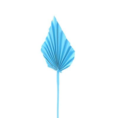 Natural Dried Palm Leaf Decor Wedding