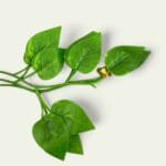 Artificial Dichondra Repens garland, hanging leaf decoration, faux cascading foliage, indoor greenery, outdoor plant decor