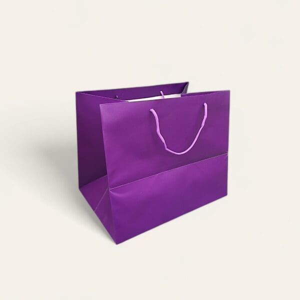 Large paper bag, paper bag with handle, eco-friendly shopping bag, durable paper bag, customizable gift packaging