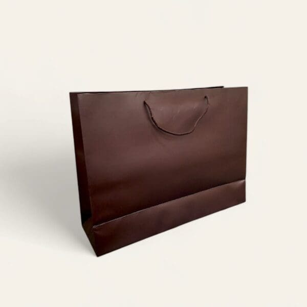 Large paper bag, paper bag with handle, eco-friendly shopping bag, durable paper bag, versatile gift bag