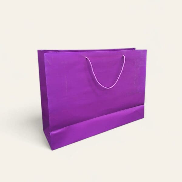 Large paper bag, paper bag with handle, eco-friendly shopping bag, durable paper bag, versatile gift bag