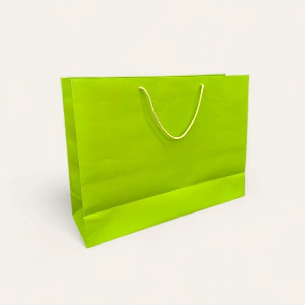 Large paper bag, paper bag with handle, eco-friendly shopping bag, durable paper bag, versatile gift bag