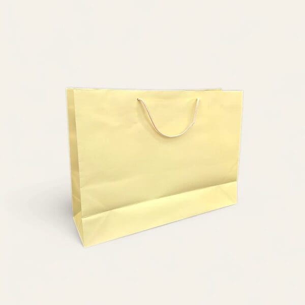 Large paper bag, paper bag with handle, eco-friendly shopping bag, durable paper bag, versatile gift bag