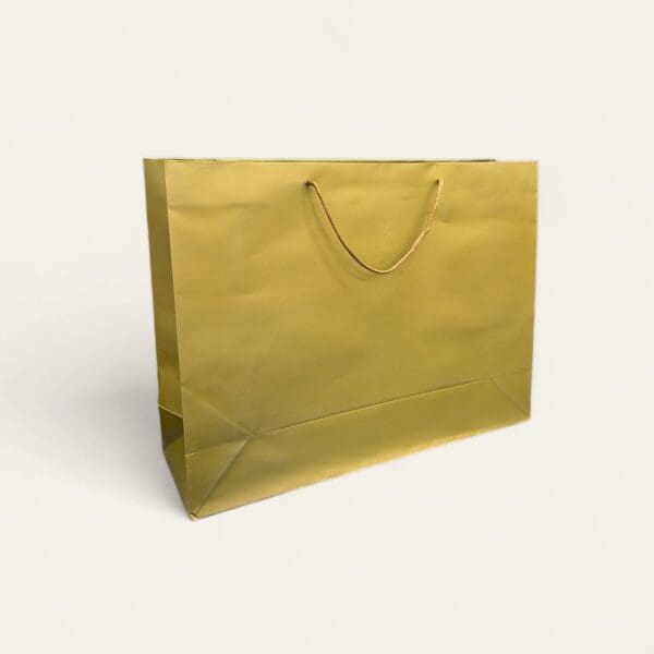 Large paper bag, paper bag with handle, eco-friendly shopping bag, durable paper bag, versatile gift bag