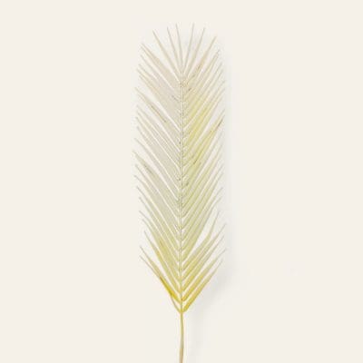 Artificial Phoenix palm leaf stick, lifelike plastic palm leaf, synthetic tropical decor, maintenance-free palm leaf, green leaf decoration