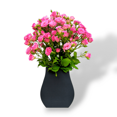 Fresh pink roses in black pot, WPC pot flower arrangement, elegant pink rose display, floral centerpiece, romantic flower decor