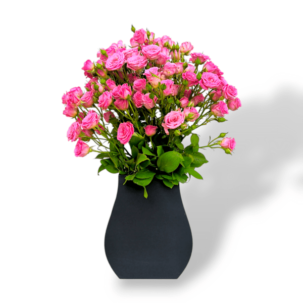 Fresh pink roses in black pot, WPC pot flower arrangement, elegant pink rose display, floral centerpiece, romantic flower decor