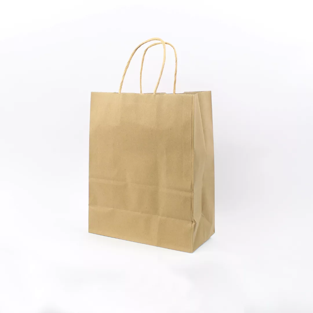 10 large kraft paper bag with handle, eco-friendly kraft shopping bag, recyclable brown paper bag, reusable kraft gift bag, kraft floral packaging bag