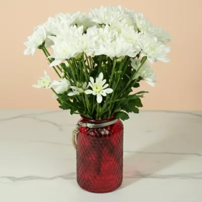 white spray chrysanthemums in red vase chrysanthemum flower arrangement red vase fresh white chrysanthemum centerpiece elegant vase flower décor